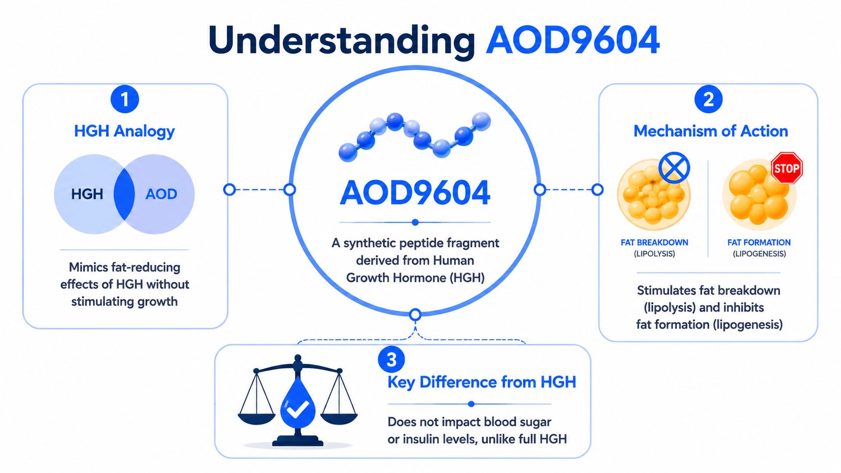 An infographic explaining AOD9604, a synthetic peptide fragment derived from HGH, its mechanism, and differences.